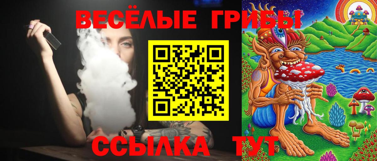 МЕФ Топки